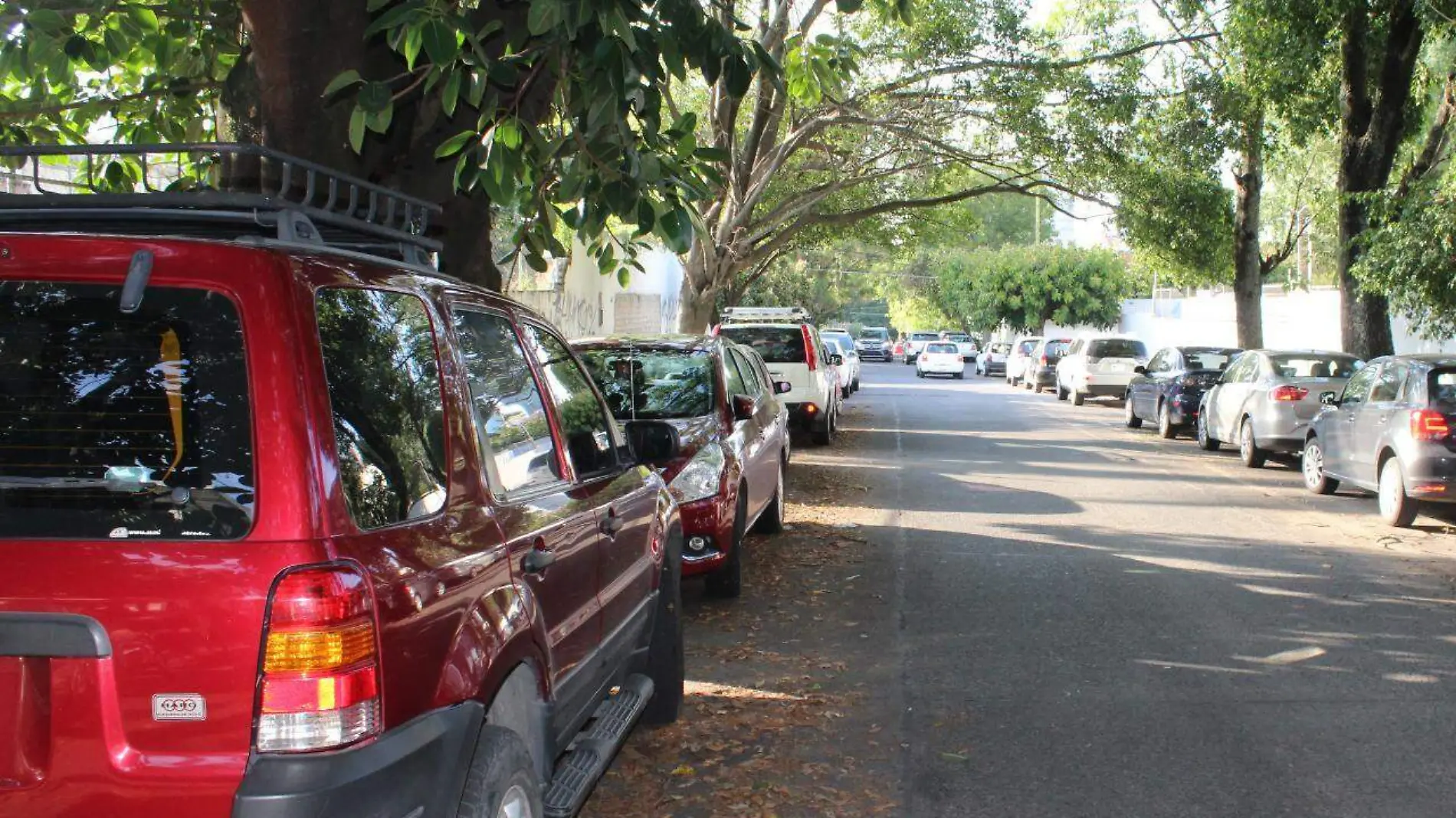 Fotoreportaje Providencia (12)